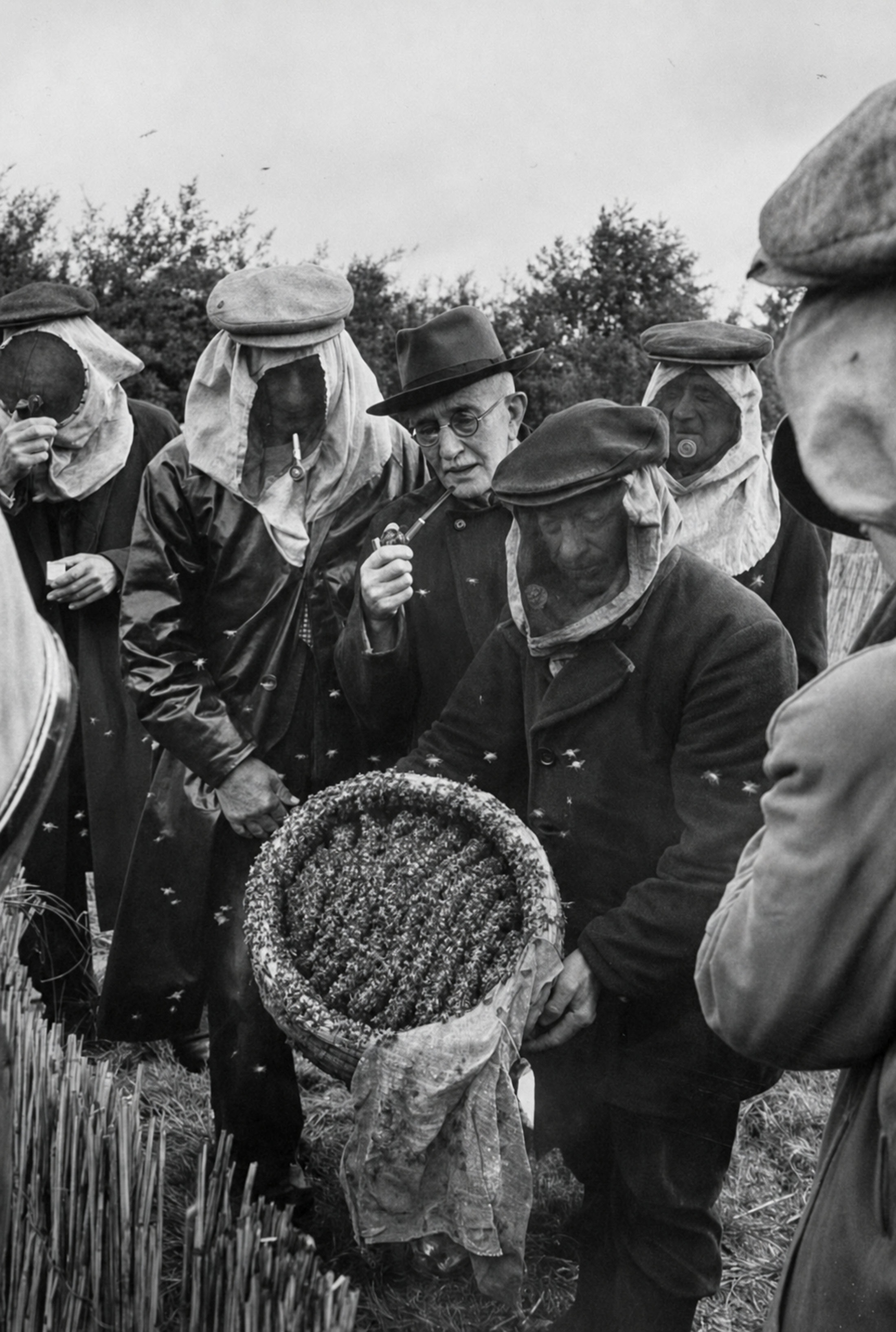 A close circle of veiled beekeepers in 1956, all leaning in over the same hive, one lighting a pipe